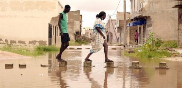 50474b38b177bc4bc26243f15db48a4309a9185c