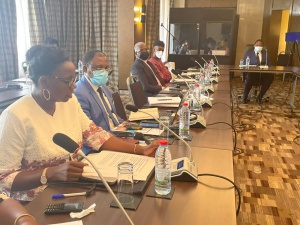 IMG-20220810-WA0008-300x225