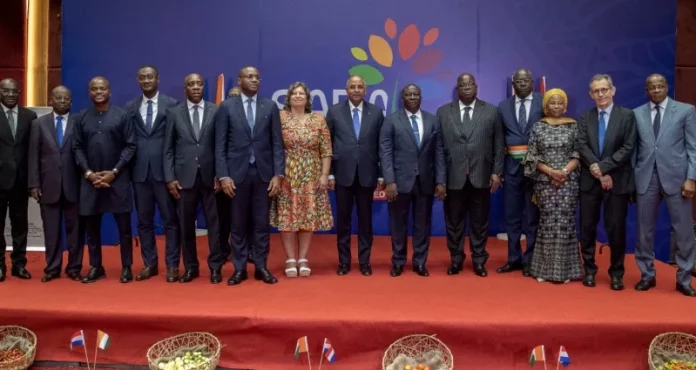 84321-csi-920x425_xl