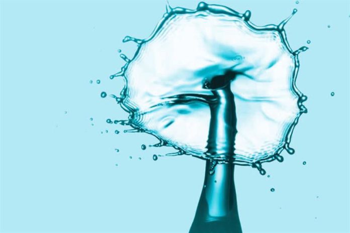 41_2023-638270305165559704-555