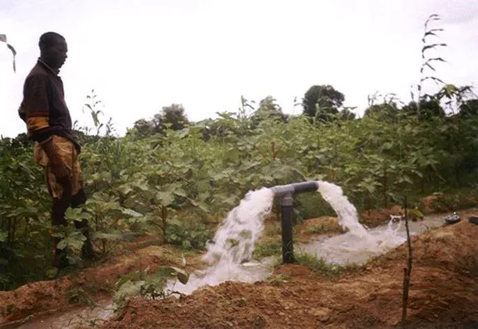 Irrigation-californien