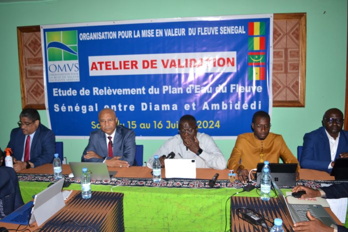 451338084_876024294560819_5691922312835035431_n (1)