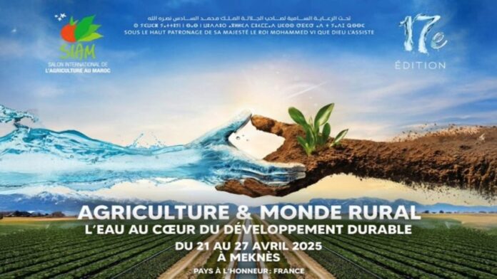 Sans-titre-267-860x484