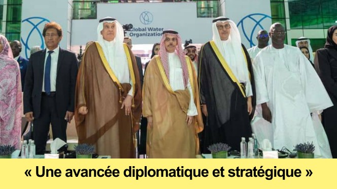Le-Senegal-parmi-les-membres-fondateurs-Organisation-internationale-de-leau