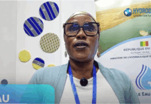 Quand l’eau devient un enjeu de sécurité au cœur du Lac Tchad