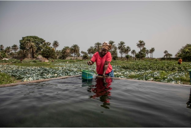 Changement-climatique